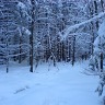 Ski Trip 2007